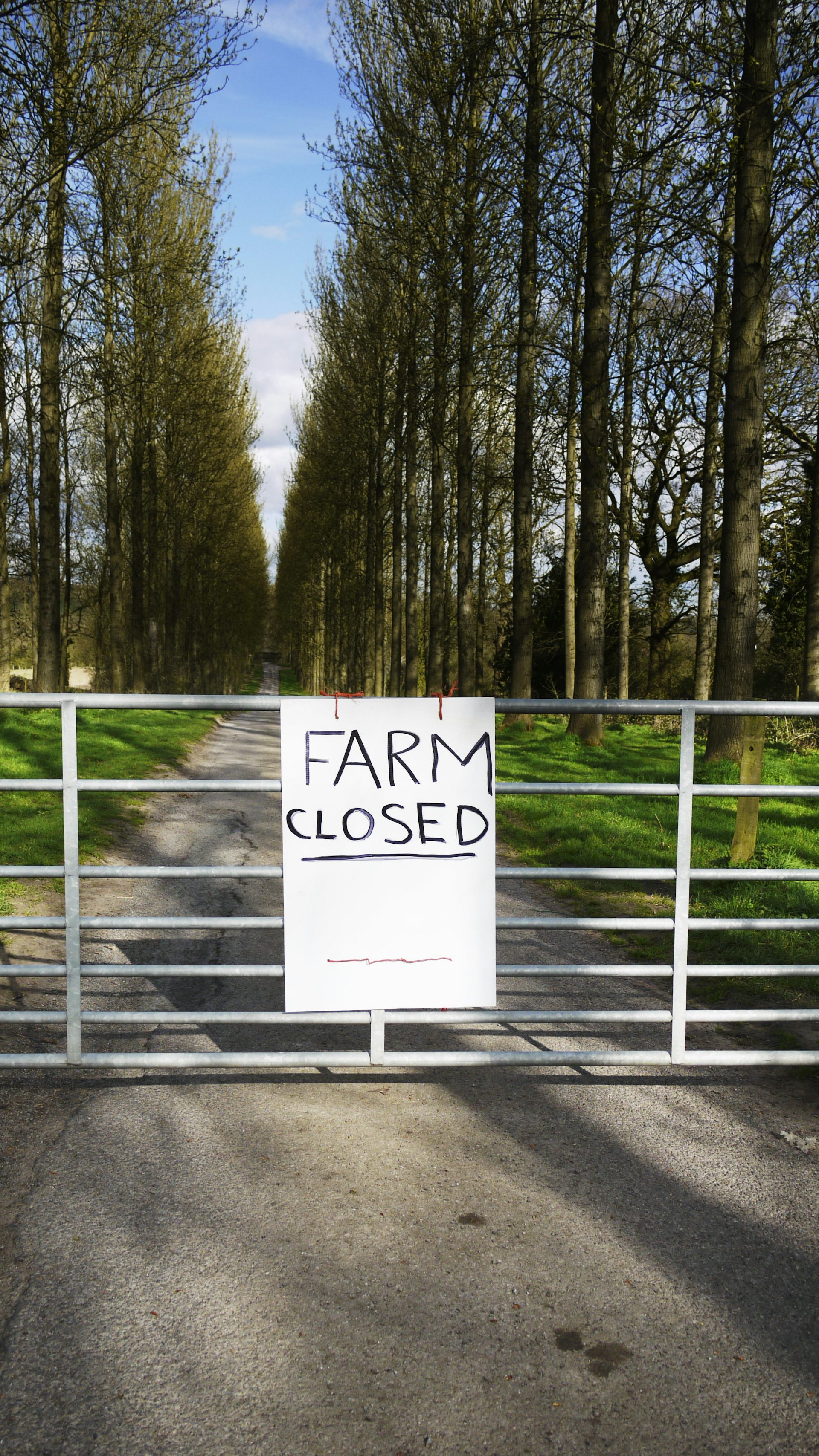 What would happen if we abandoned Britain s farms and left them to