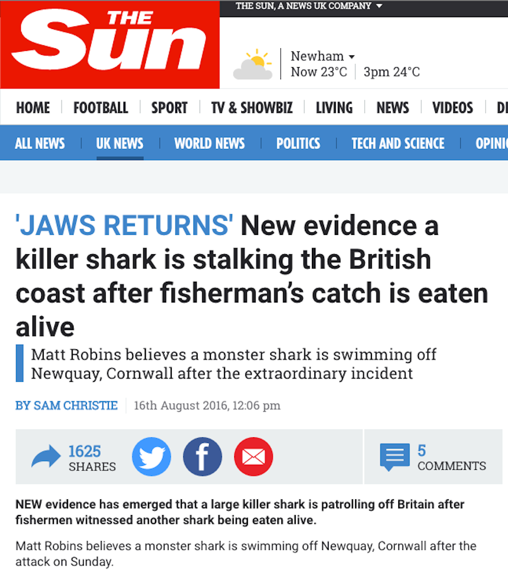 Stop freaking out about sharks in British waters – let’s welcome them