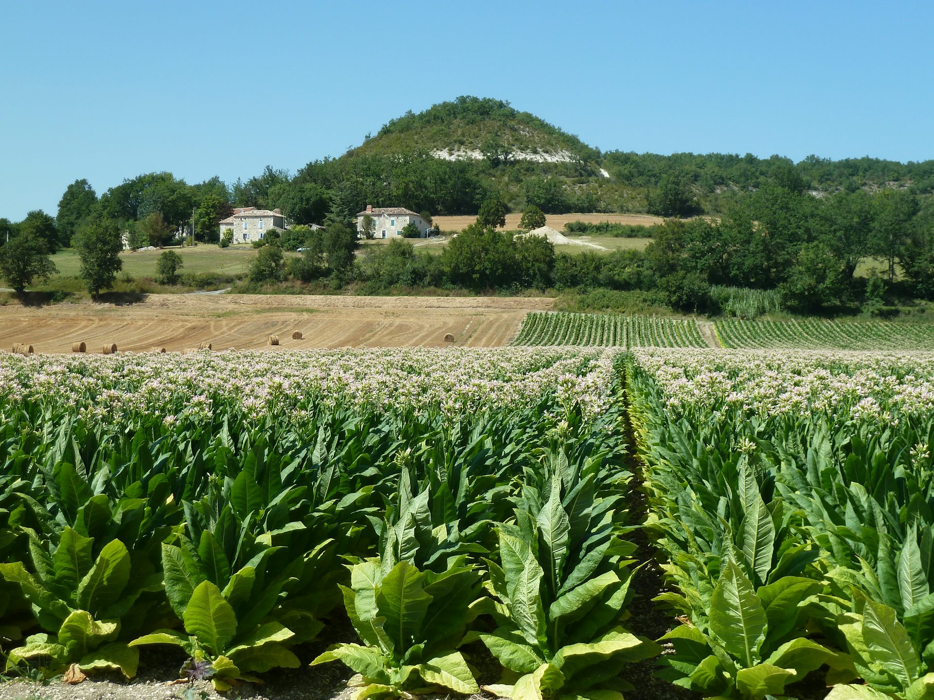 Image 20160819 30370 v7vwa.jpg?ixlib=rb 1.1