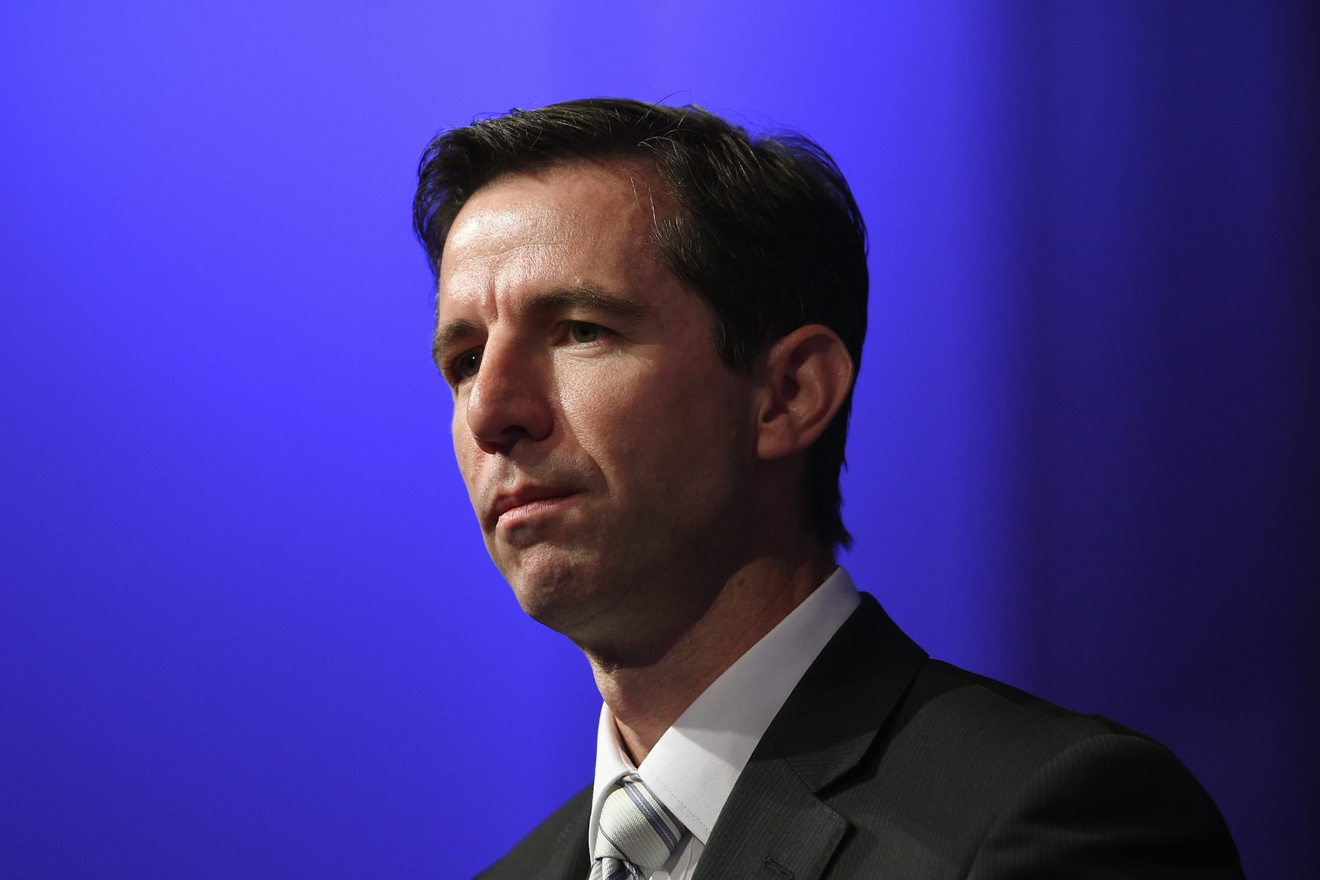 VET FEEHELP reforms will merely paper over the cracks of a system