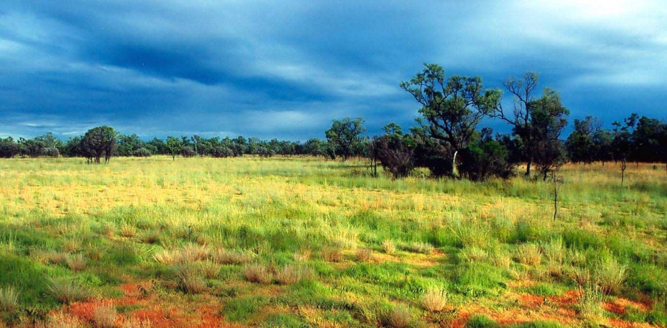 EcoCheck: Australia's vast, majestic northern savannas need more care