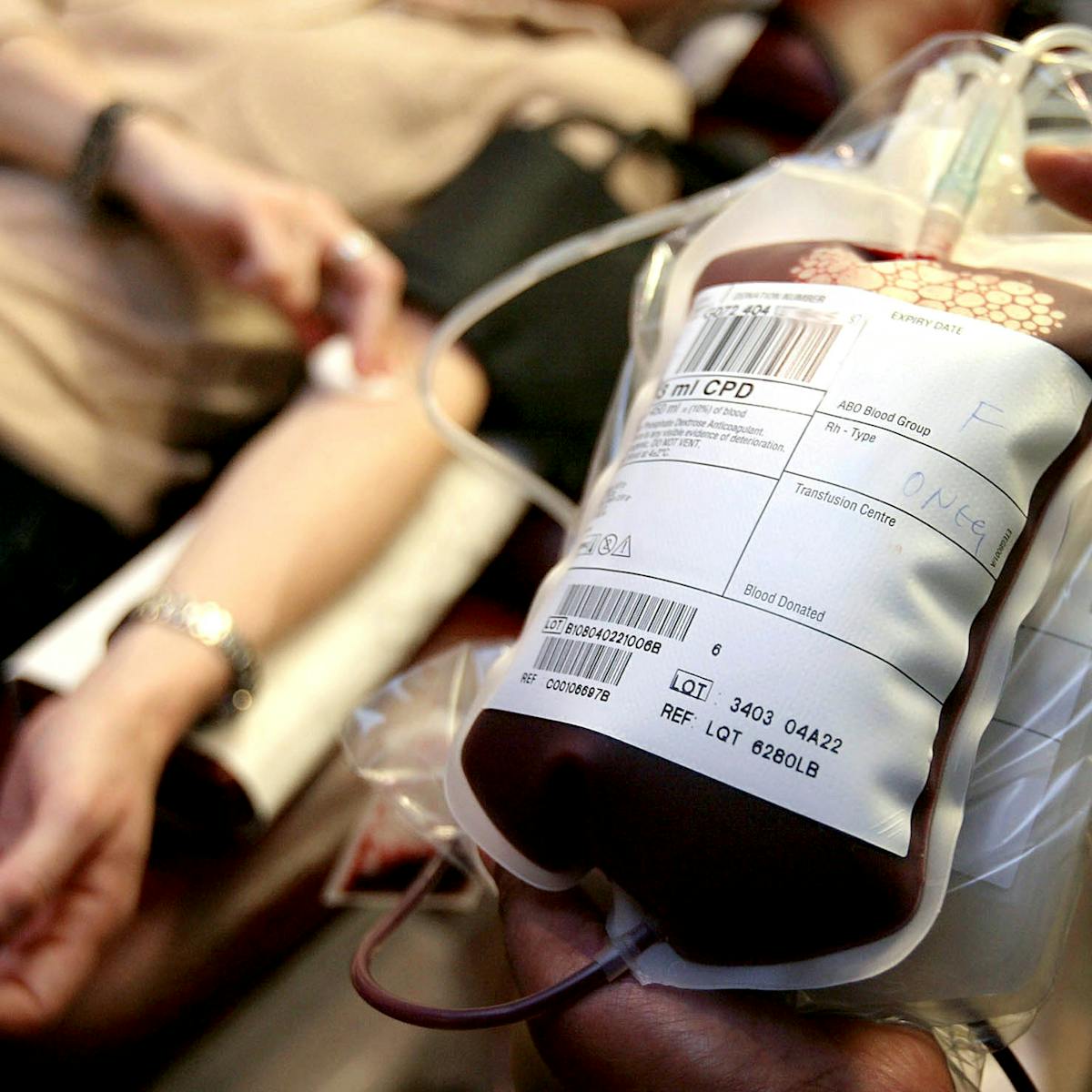 Explainer What Are Blood Groups And Why Do They Matter Explainer What Are Blood Groups And Why Do They Matter
