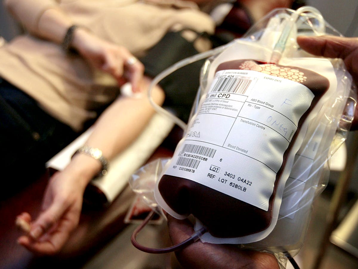 Explainer What Are Blood Groups And Why Do They Matter Explainer What Are Blood Groups And Why Do They Matter