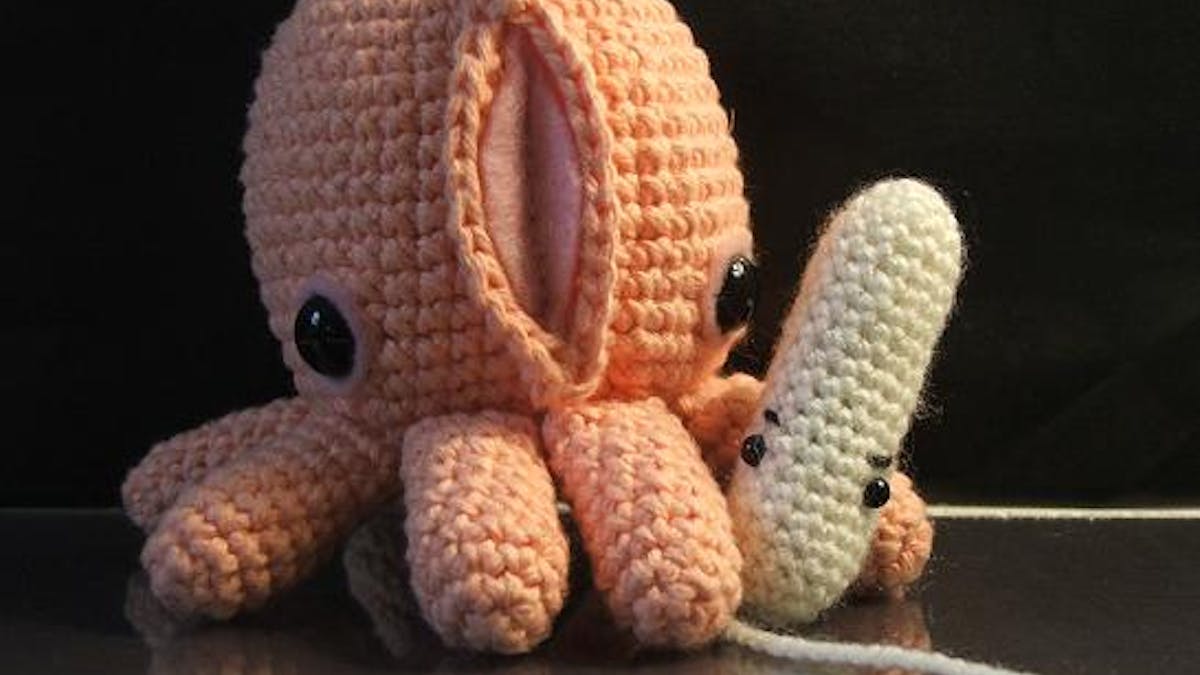 Tampon Versus Pad Why More Women Still Choose The Latter To Manage Periods Tampon Versus Pad Why More Women Still Choose The Latter To Manage Periods