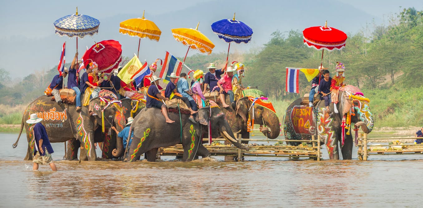 What should we do about the 15,000 Asian elephants still in captivity?