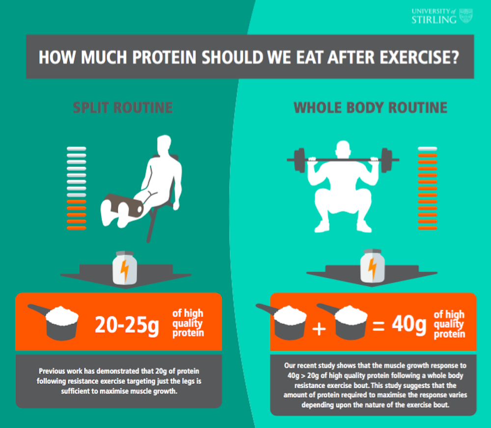 Gym Workout Advice Protein Guidance