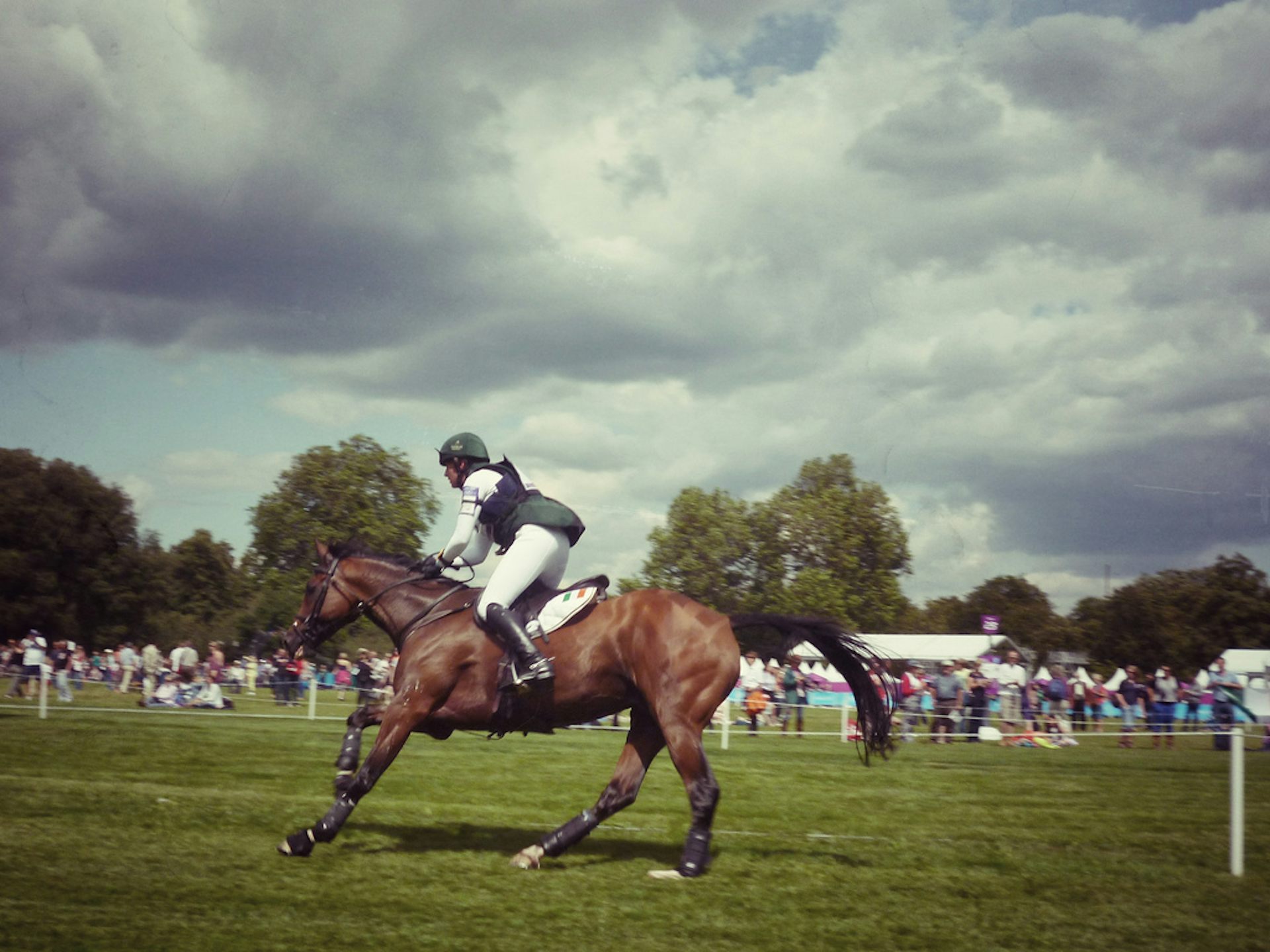 The Olympian Rider Or Their Horse?