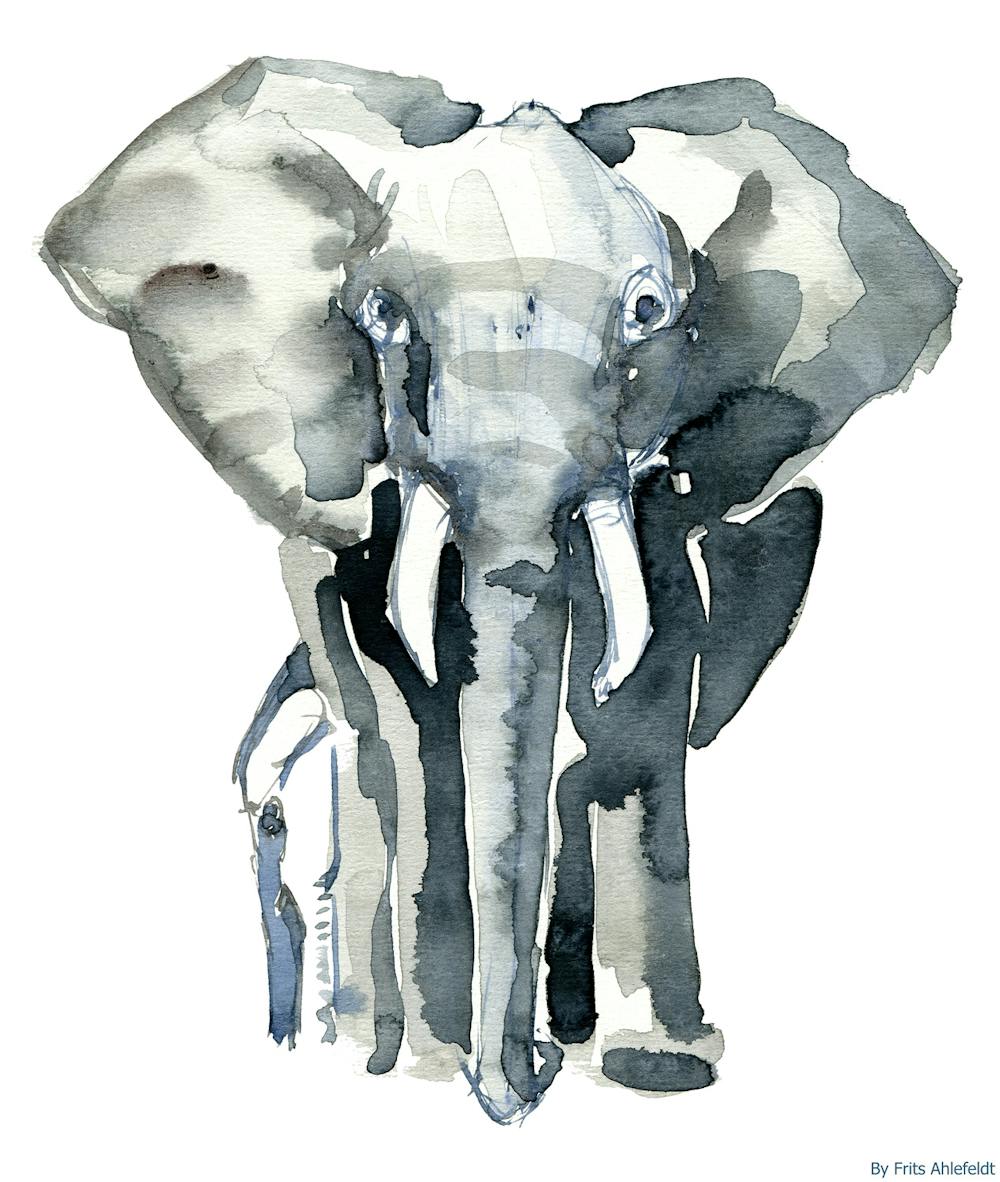 Слон лось. Слон скетчинг. Слон акварелью. Слон голова акварель. Слон рисунок акварель.