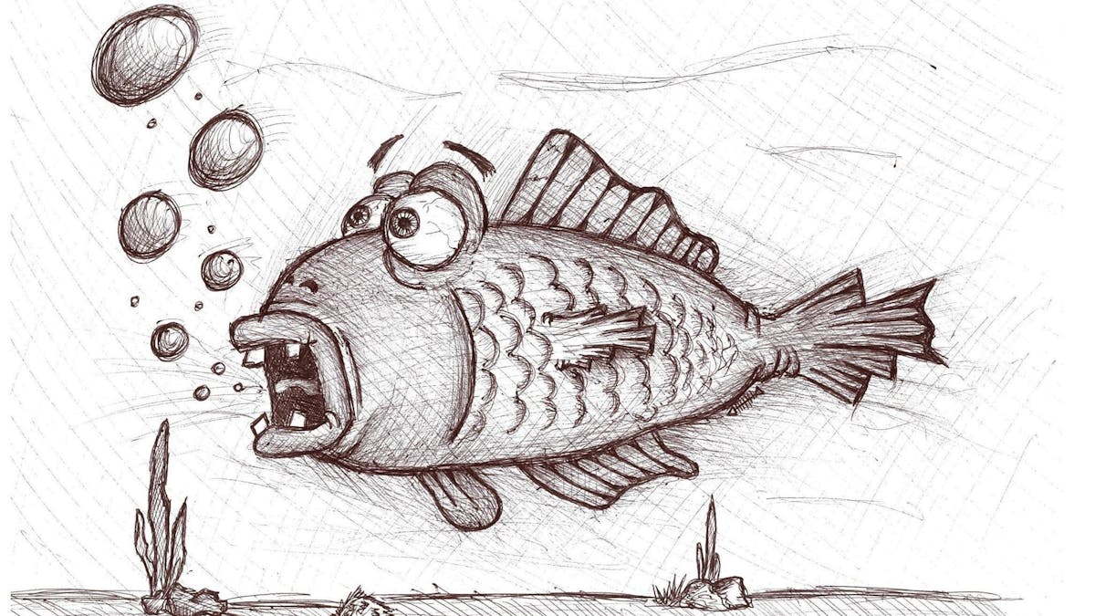 The Tragedy Of Eaten Fish The Award Winning Cartoonist On Manus Island