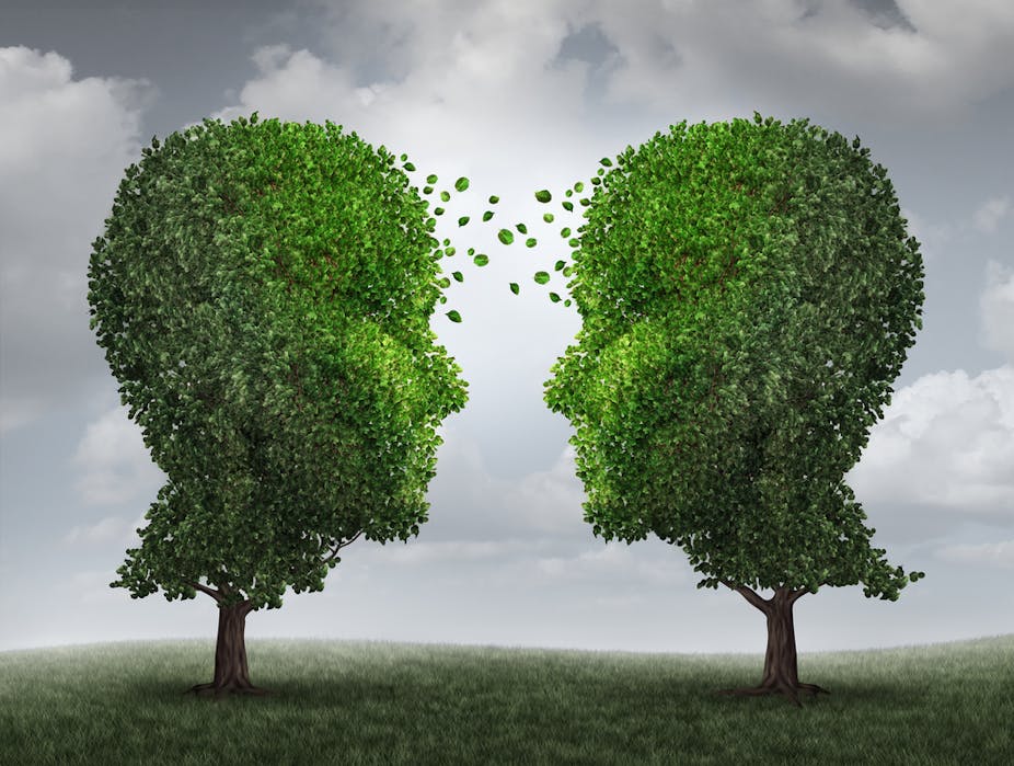 Résultat de recherche d'images pour "Plants Talk to Each Other Using an Internet of Fungus"