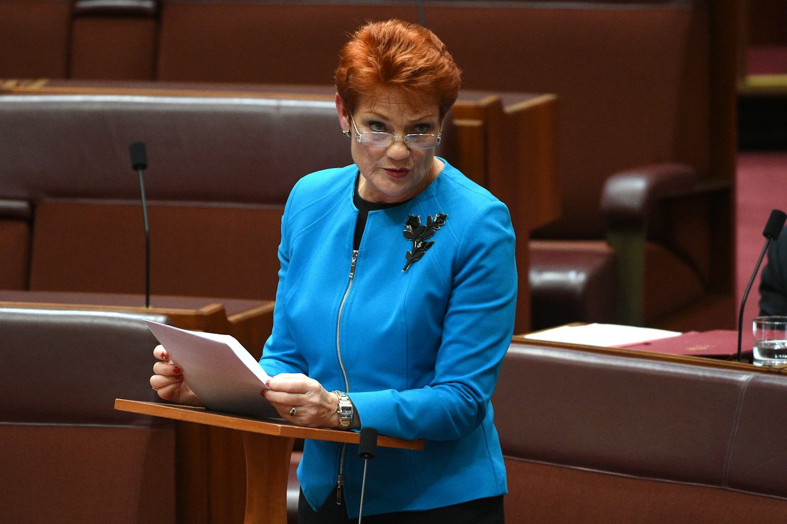 Pauline Hanson 20 years on: same refrain, new target