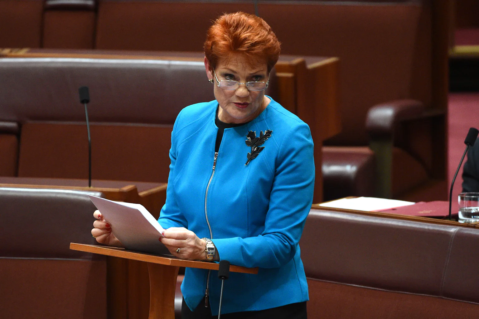 Pauline Hanson 20 years on: same refrain, new target