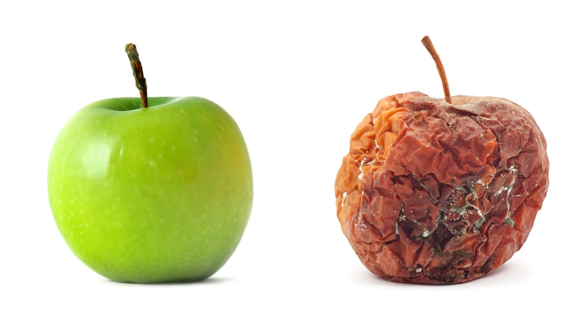 Here's The Clever Chemistry That Can Stop Your Food Rotting