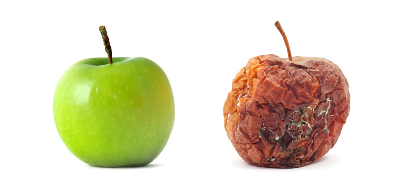 Here's the clever chemistry that can stop your food rotting Here's the clever chemistry that can stop your food rotting