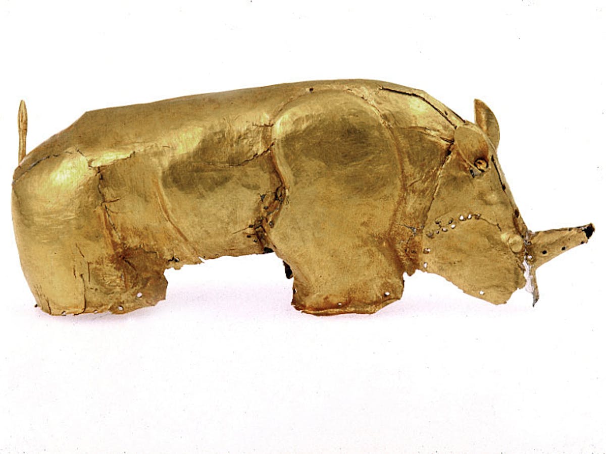 Meet the 800-year-old golden rhinoceros that challenged apartheid South  Africa
