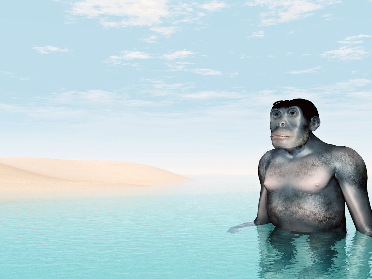 Sorry David Attenborough We Didn T Evolve From Aquatic Apes