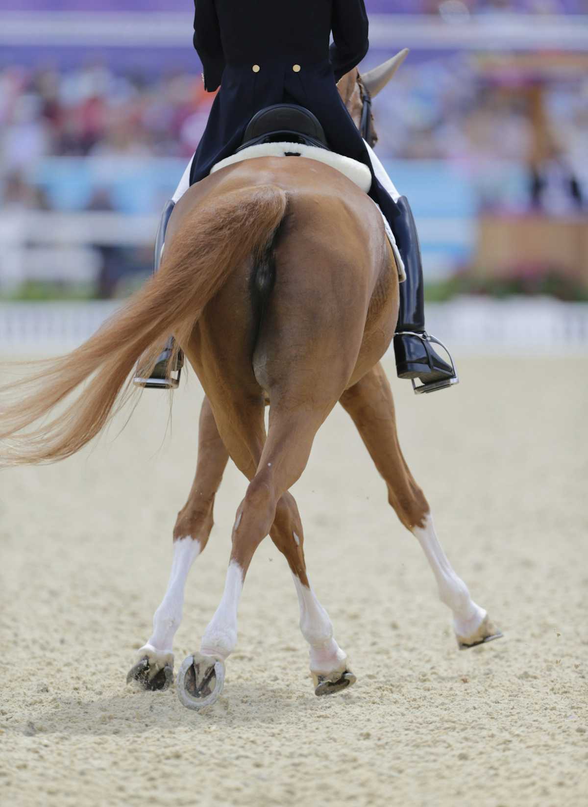 More Than Horses: Why Math Skills Matter To Cowboys - dax0ge0