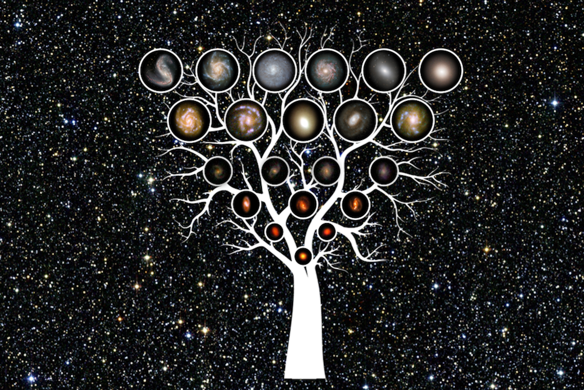 Дерево жизни космос