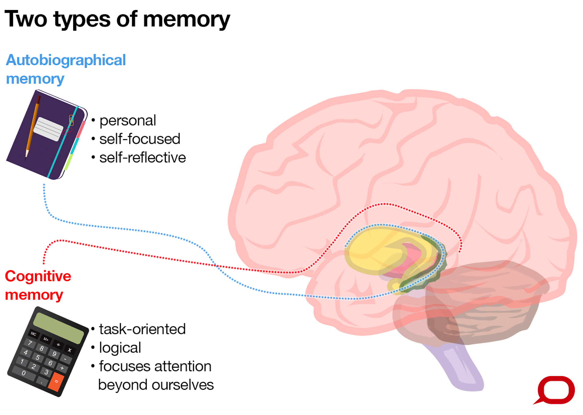 what-part-of-the-brain-controls-emotions-and-feelings-how-does-the