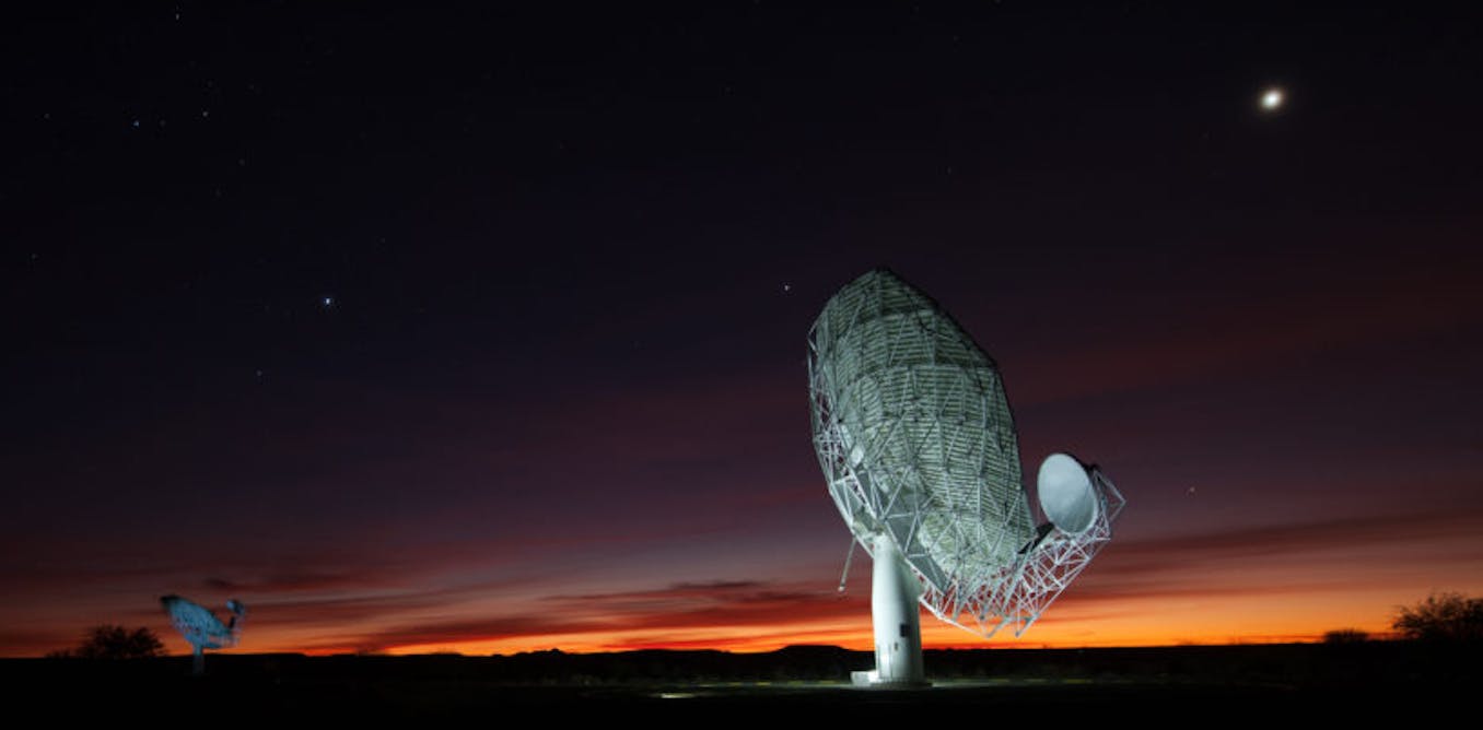 Africa’s meerkat ‘first light’ images have blown all expectations