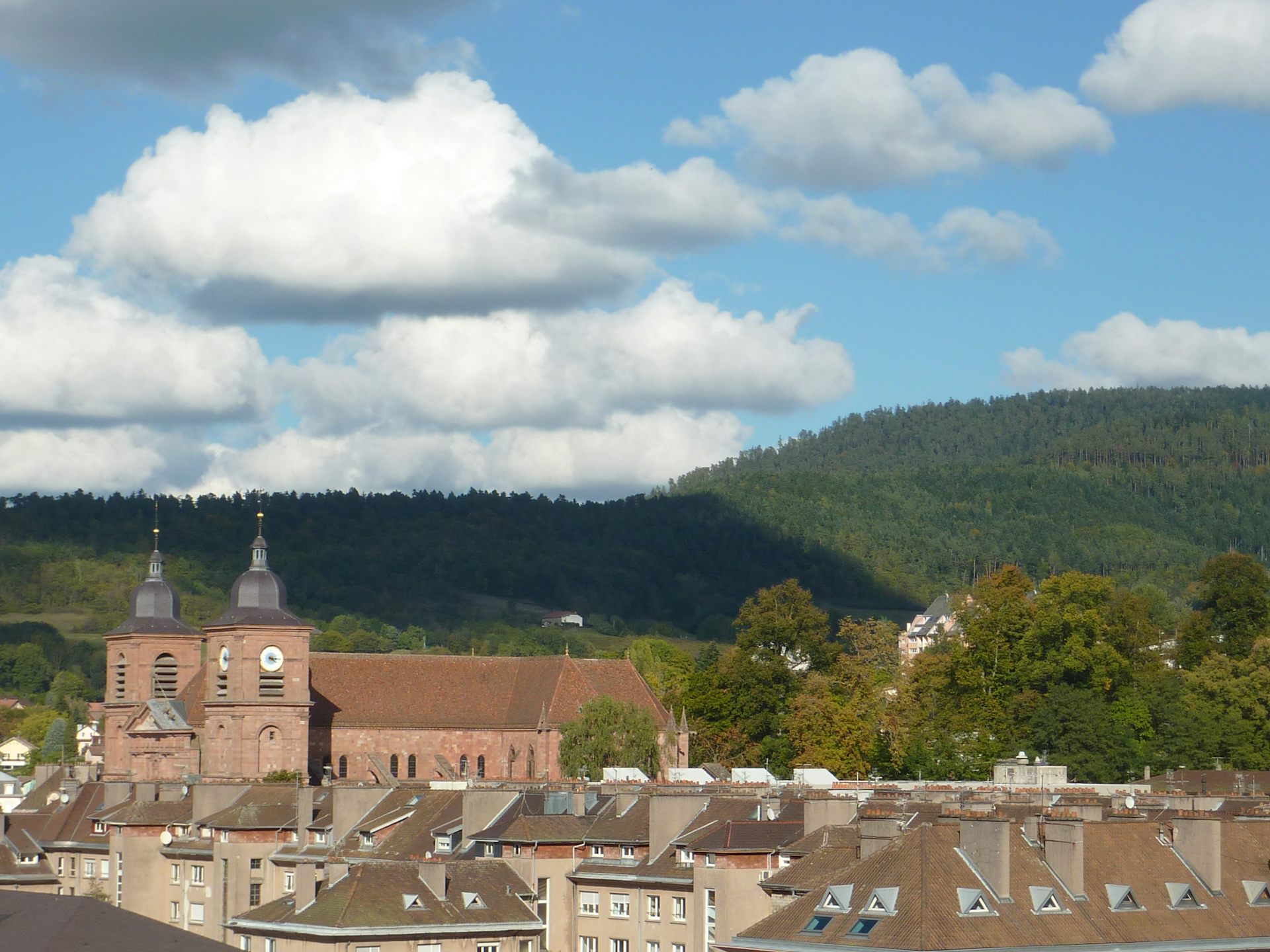 SaintDiédesVosges, la capitale des géographes
