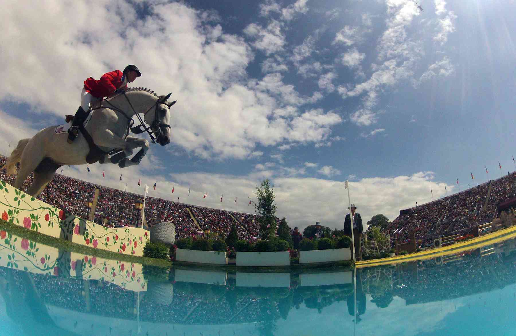 Horses for courses what makes the perfect equine Olympian?