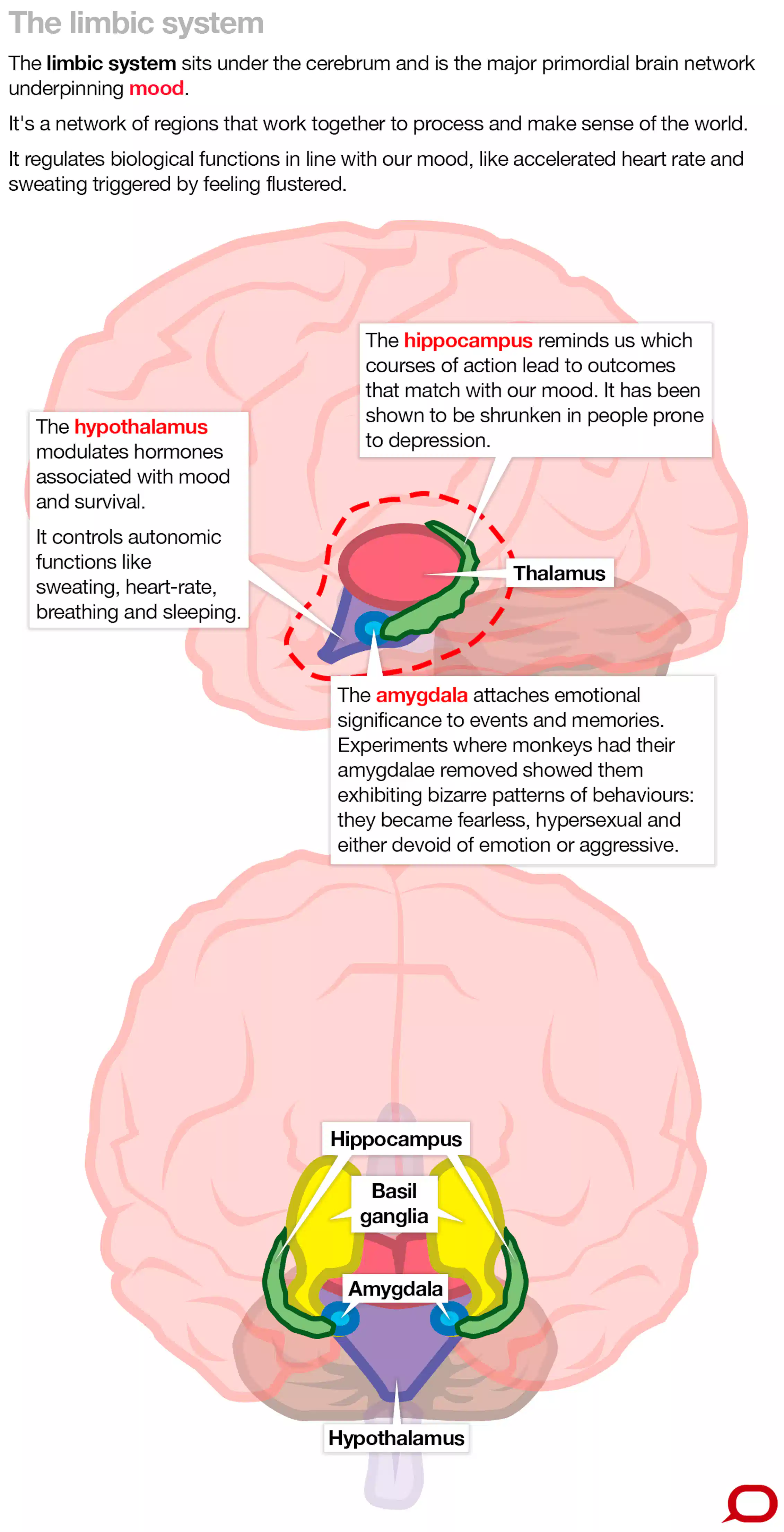 The Emotion Centre Is The Oldest Part Of The Human Brain Why Is Mood the-emotion-centre-is-the-oldest-part-of-the-human-brain-why-is-mood