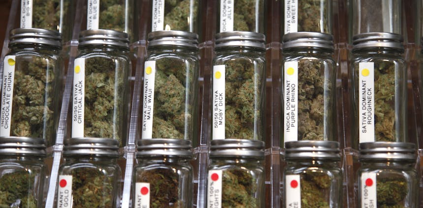What Jeff Sessions Doesn’t Understand About Medical Marijuana What Jeff Sessions Doesn’t Understand About Medical Marijuana