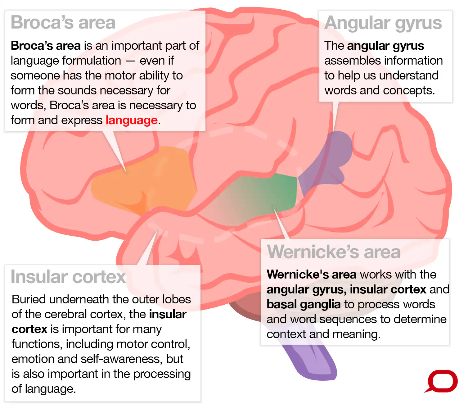 Language Control Network What brain regions control our language? And how do we know this?