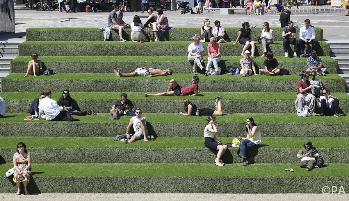 Can grass and fake replace our need for 'real' nature?