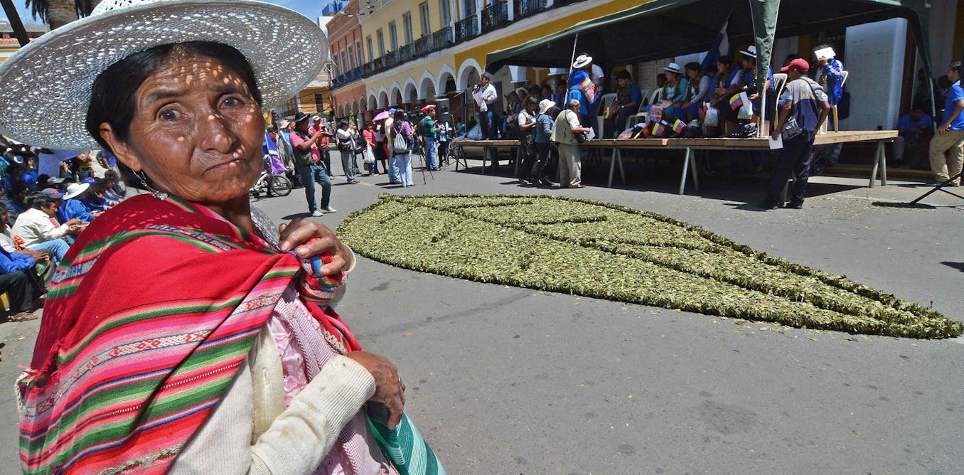 How Bolivia curbed coca production by moving away from violent crackdowns