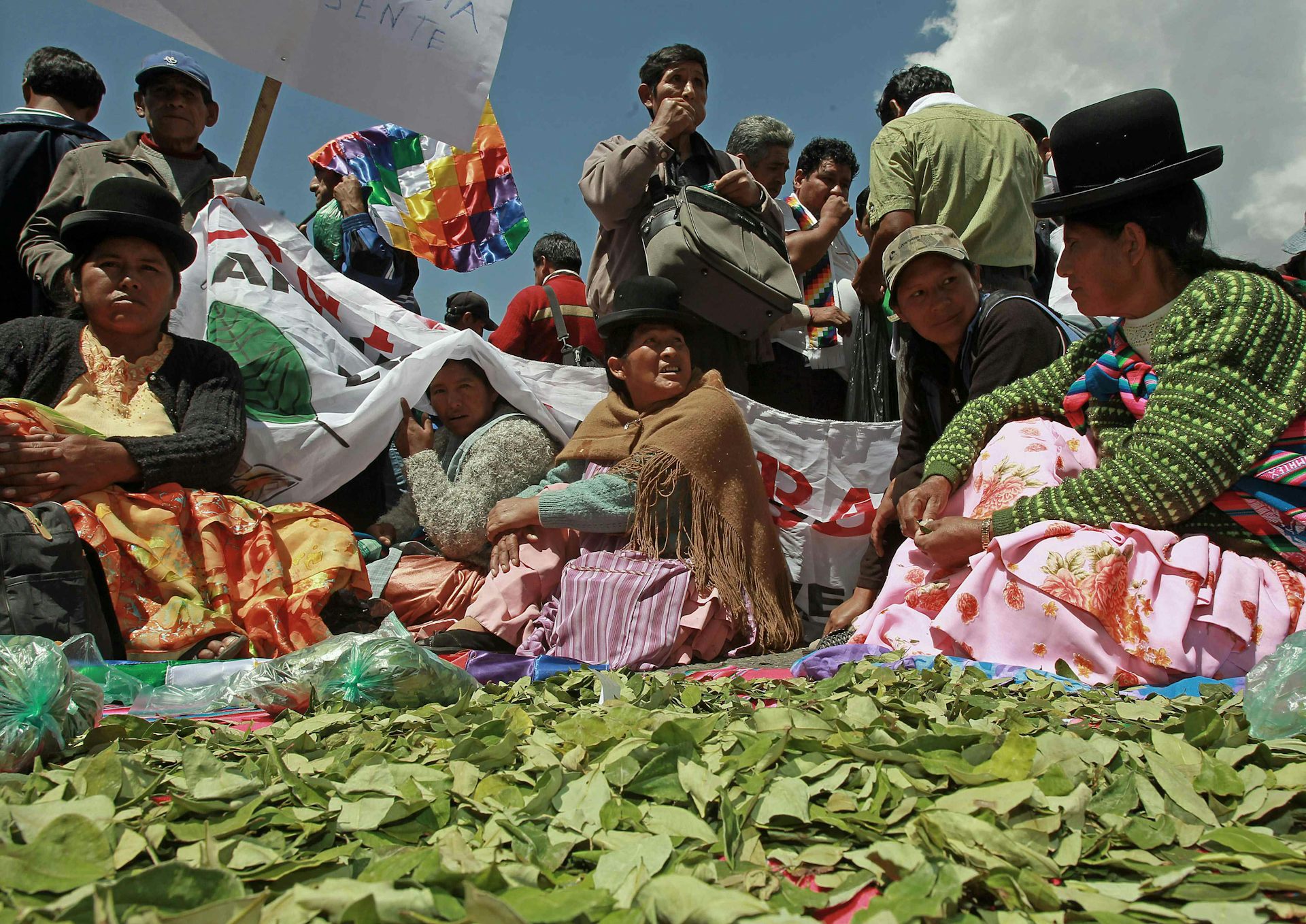 How Bolivia Curbed Coca Production By Moving Away From Violent Crackdowns