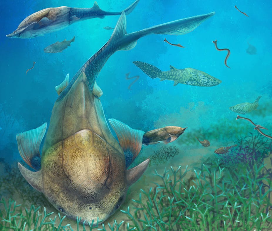 Chew on this: we finally know how our jaws evolved