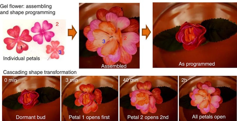 Shape Shifting Materials Could Be Crucial In Tight Spaces Such As Inside Our Bodies