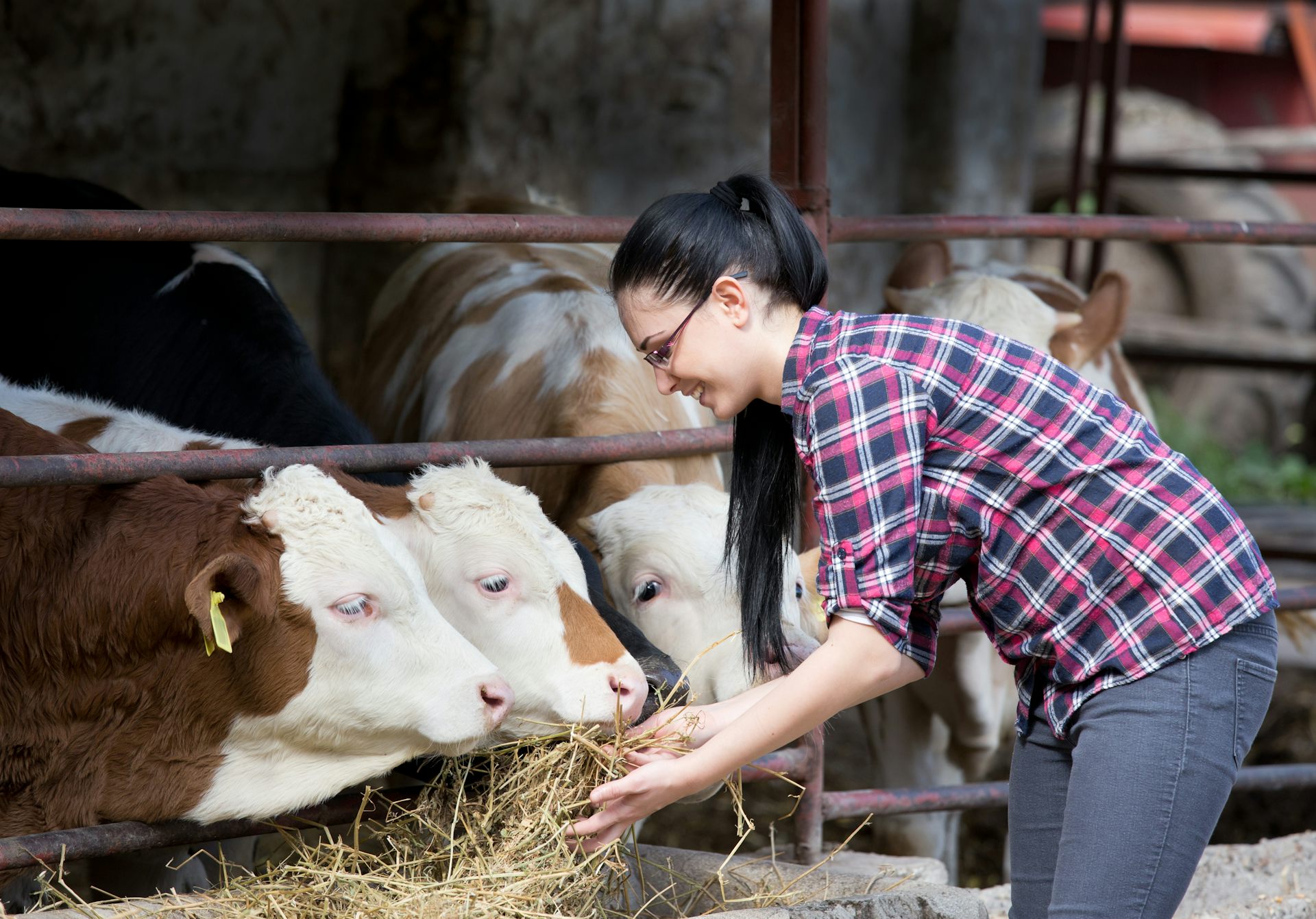 Who Is Farm Girl Jen