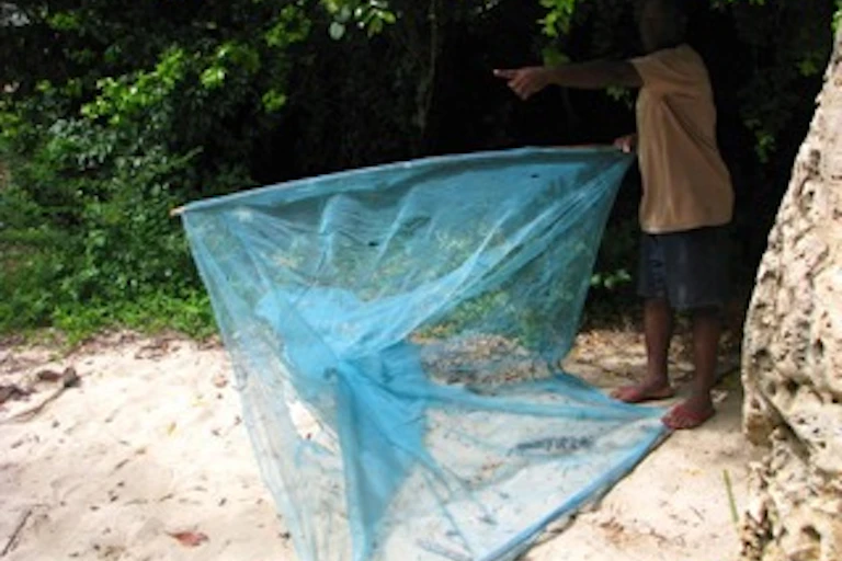 bed nets used for fishing KastKing Brutus Foldable Extendable Net Mosquito nets are often used