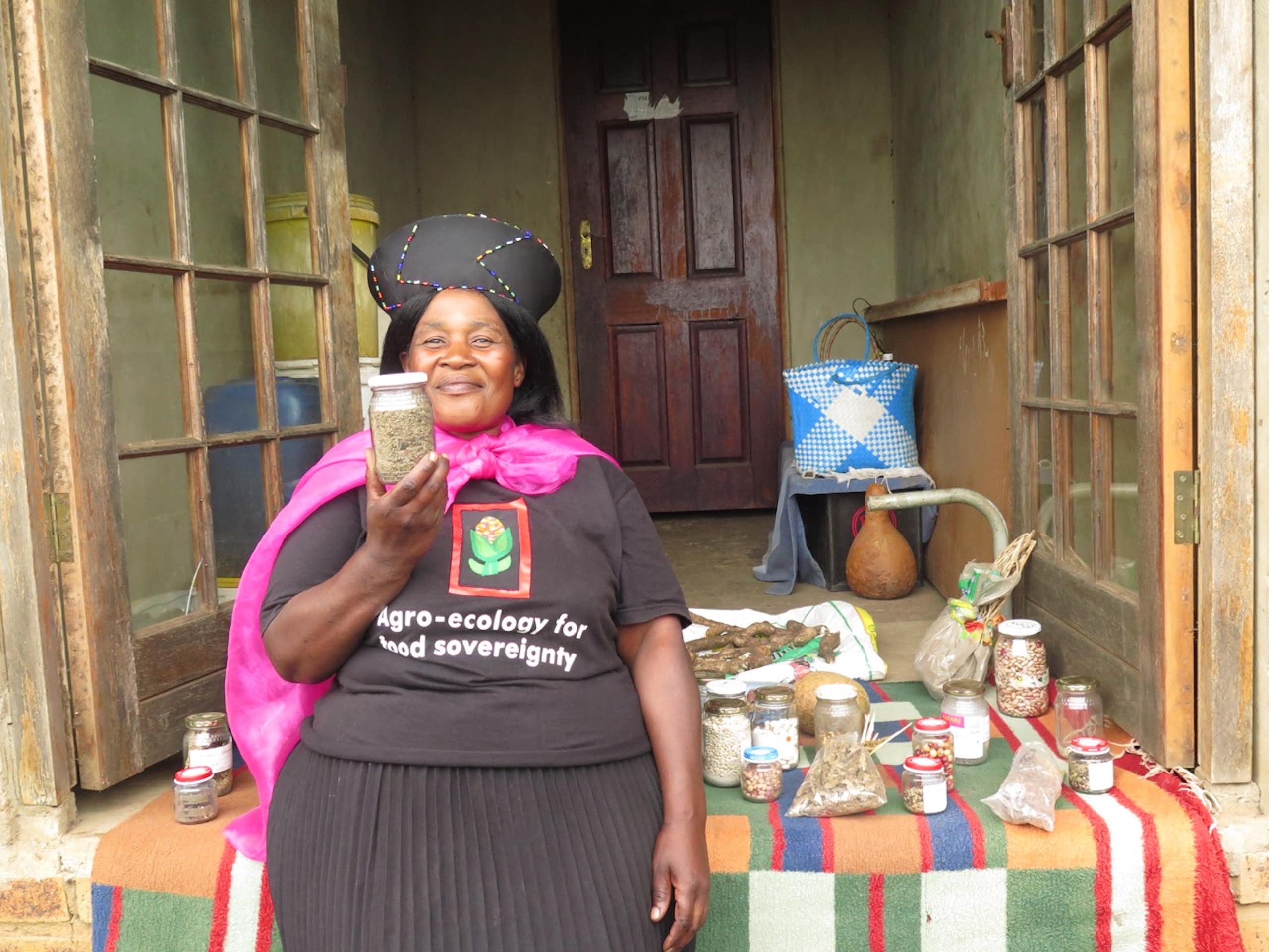 Seeds under siege: it’s time to support traditional systems