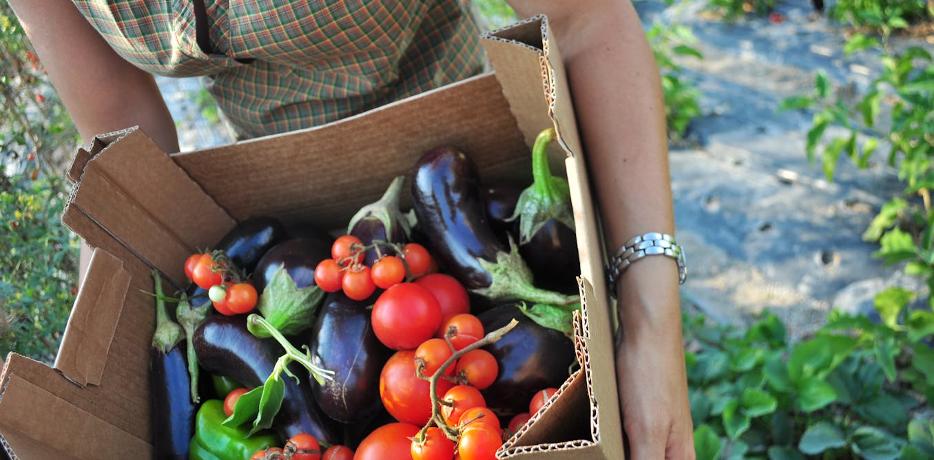 Organic farming gets a bad rap. Why it shouldn’t