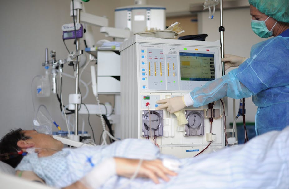 Why Stem Cells Have A Stake In Kidney Disease Why Stem Cells Have A Stake In Kidney Disease