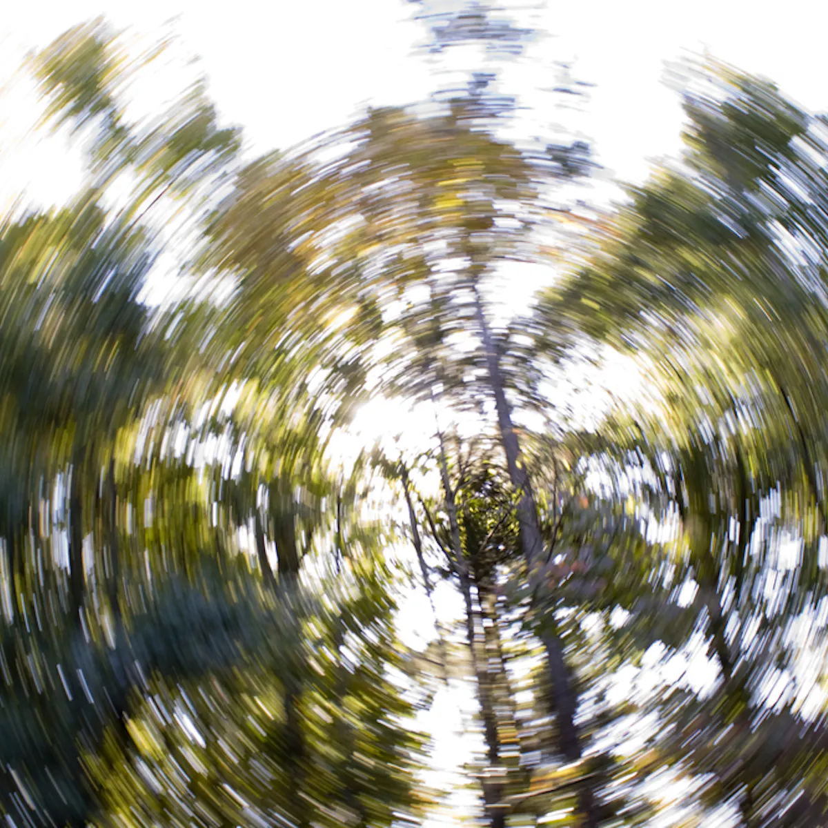 Health Check Why Do We Get Dizzy Health Check Why Do We Get Dizzy