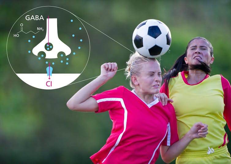 Soccer ball heading may impair brain function, study says 