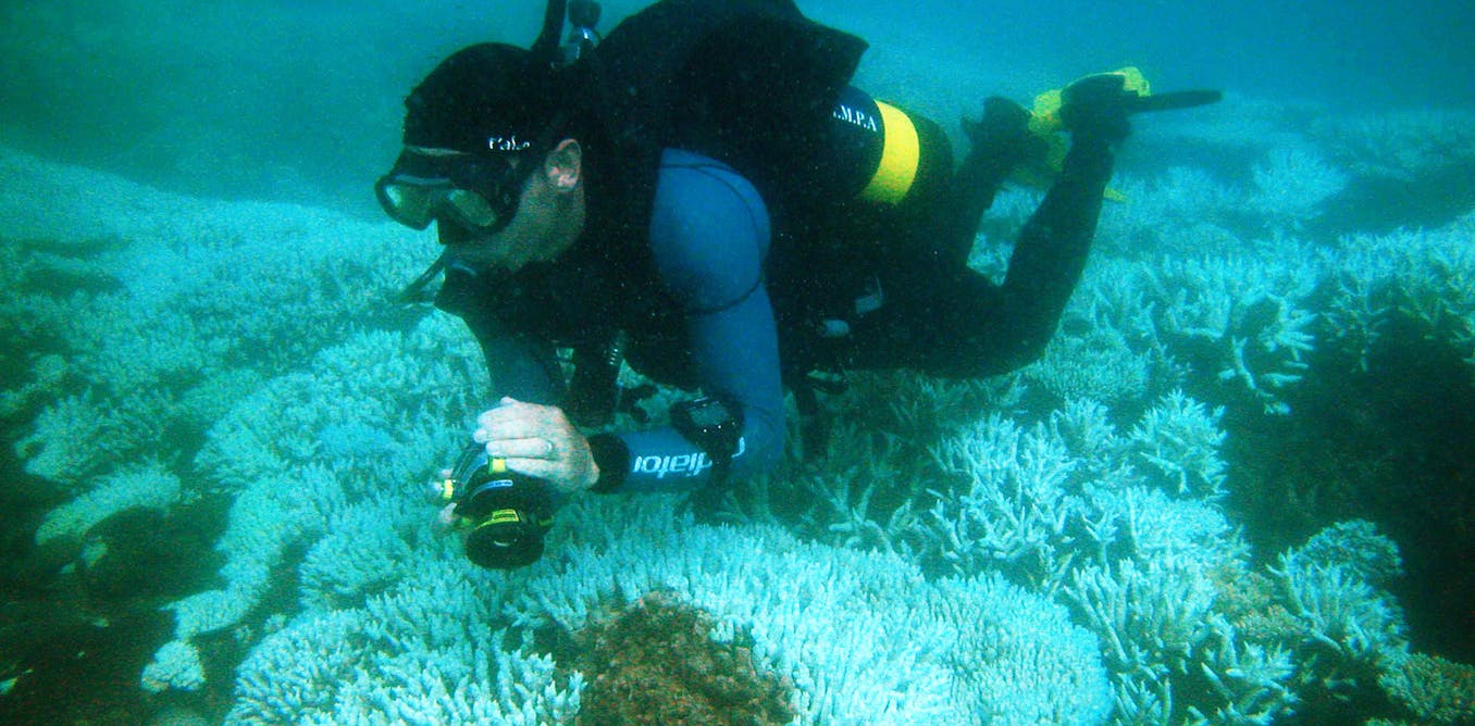 Shade cloth over reefs? Scientists call for ‘last resort’ measures