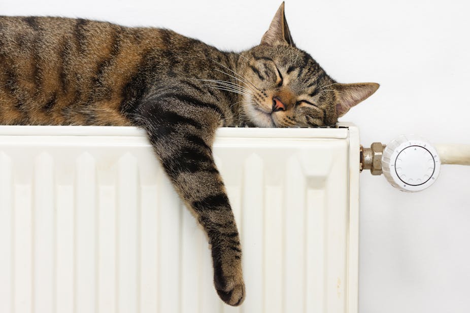 10 Ways To Keep Your House Warm And Save Money This Winter