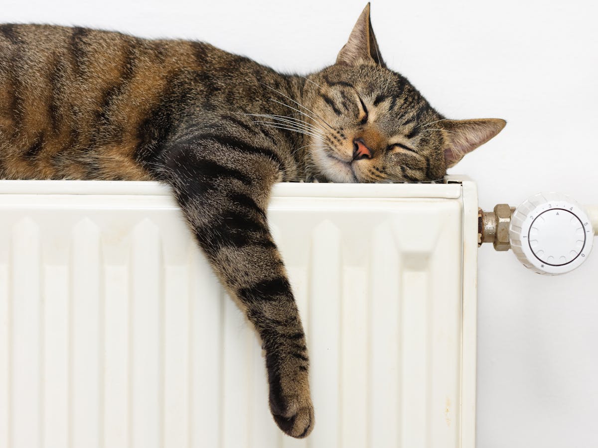 10 Ways To Keep Your House Warm And Save Money This Winter