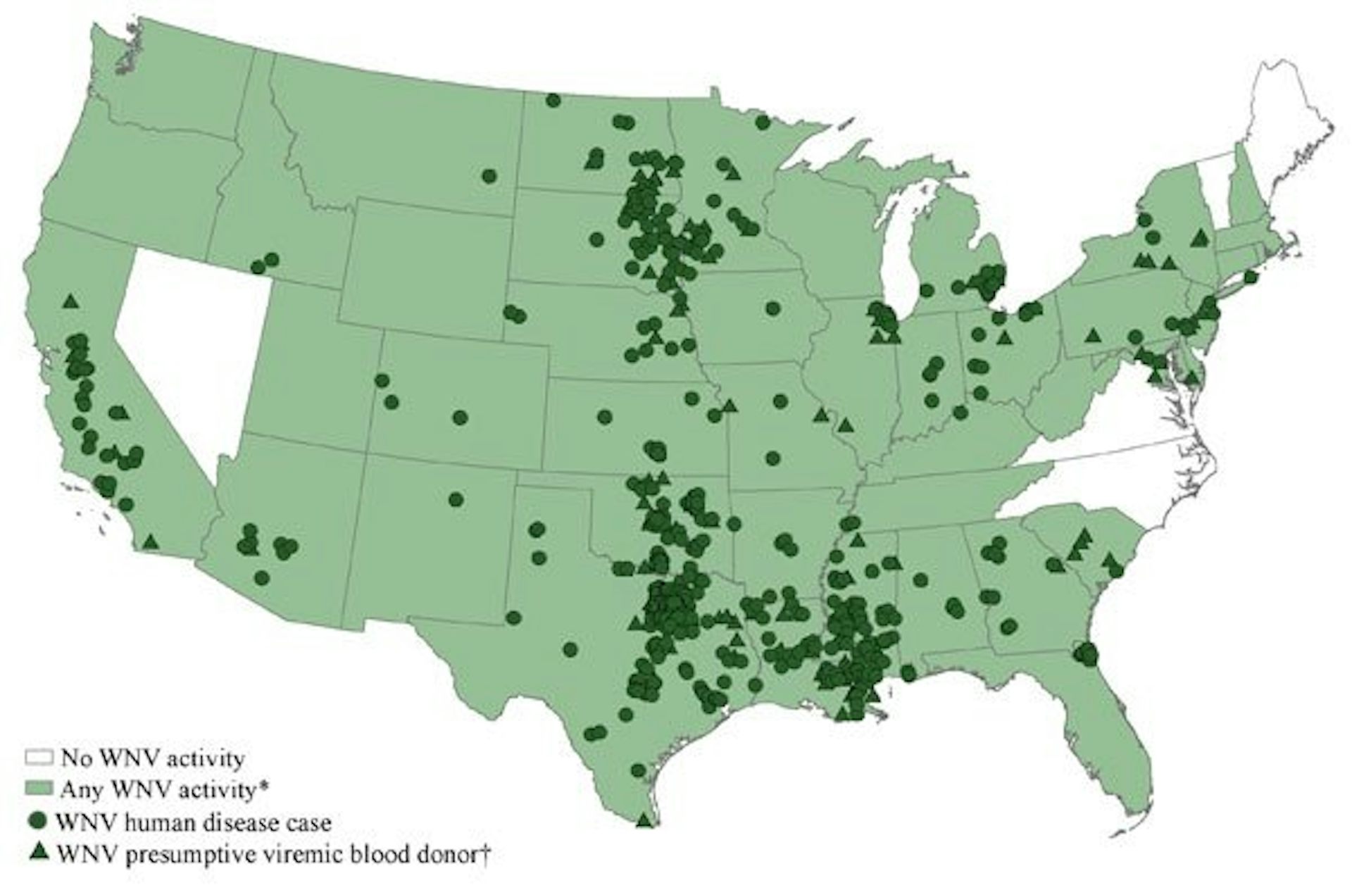 Explainer West Nile Virus Outbreak In The United States   8w5qqzhb 1345508882 