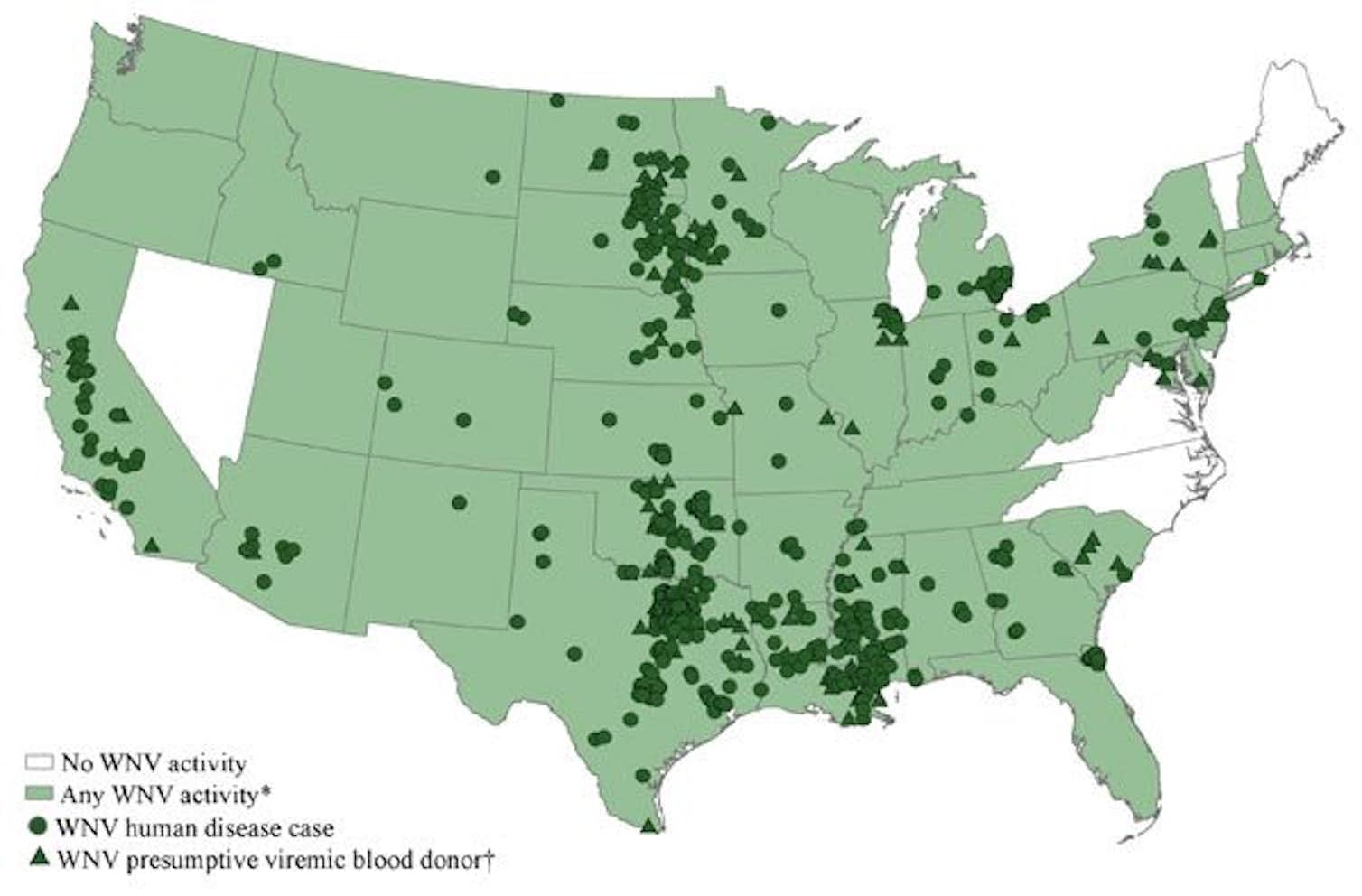 Explainer West Nile virus outbreak in the United States