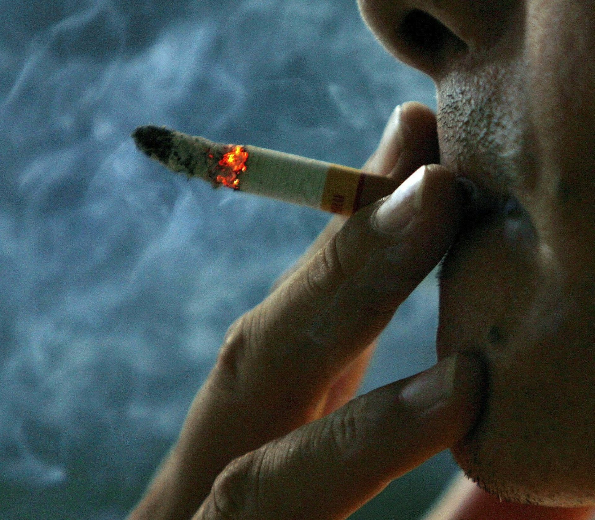 what is tobacco mosaic Tobacco mosaic virus - Stock Image - B275/0035