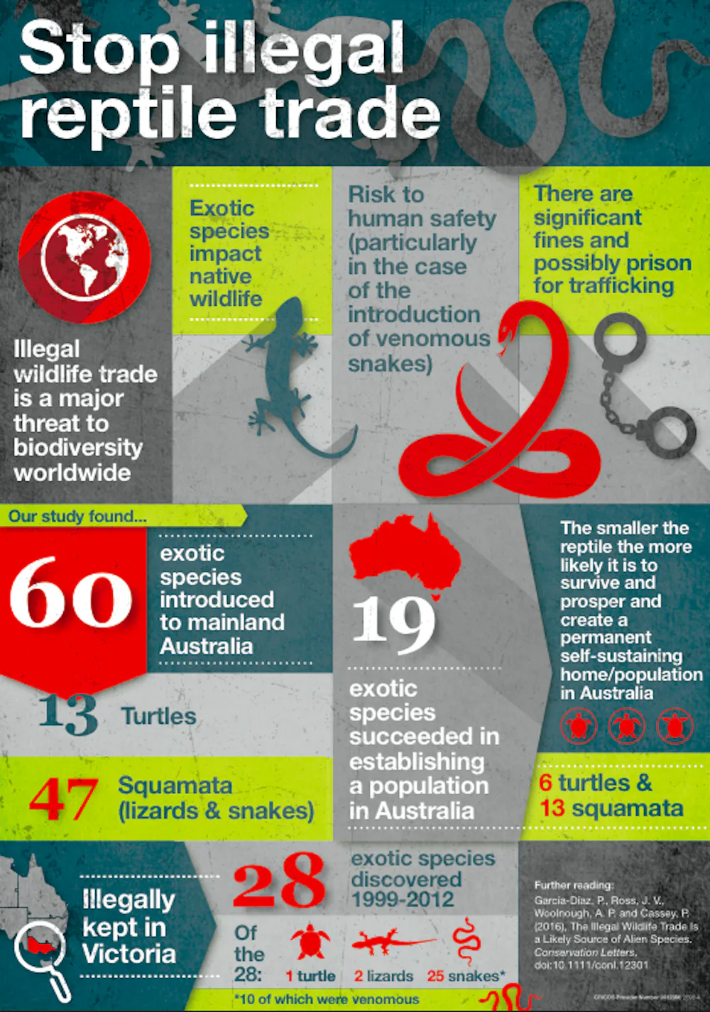 Alien invaders: the illegal reptile trade is a serious threat to Australia