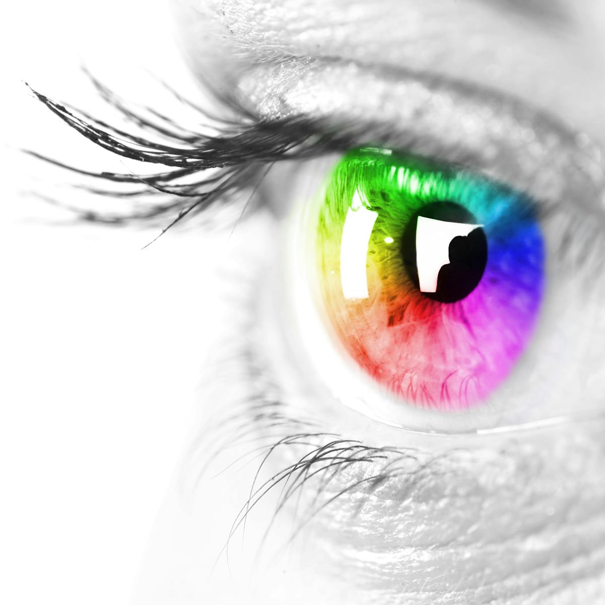 Red Yellow Pink And Green How The World S Languages Name The Rainbow Red Yellow Pink And Green How The World S Languages Name The Rainbow