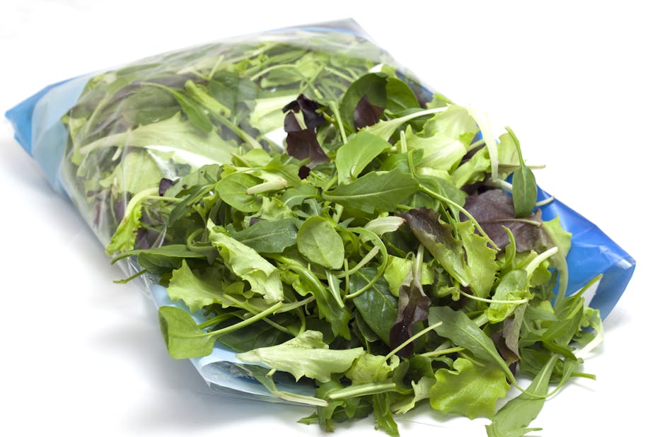 New Study Salmonella Thrives In Salad Bags